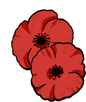 Tulipano